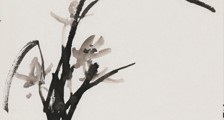 药物咨询师招生简章