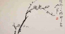 举报文章被删稿,究竟是何原因?